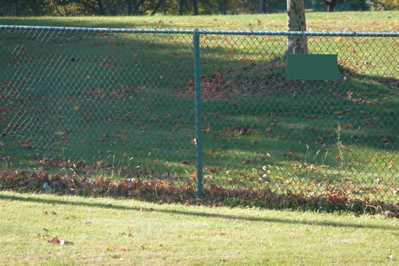 Seasonal Maintenance Tips