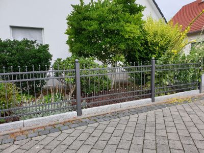 Decorative Metal Fences